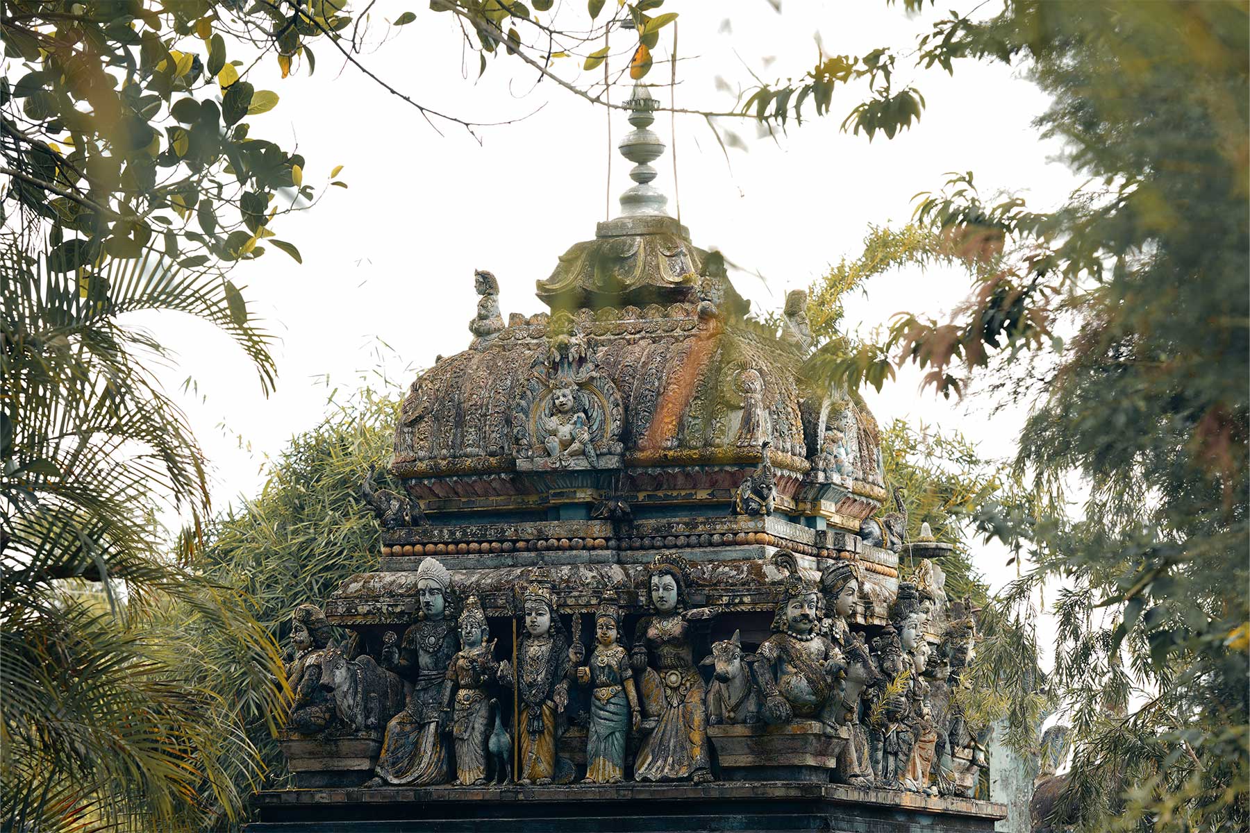 akash-kaviya image 2